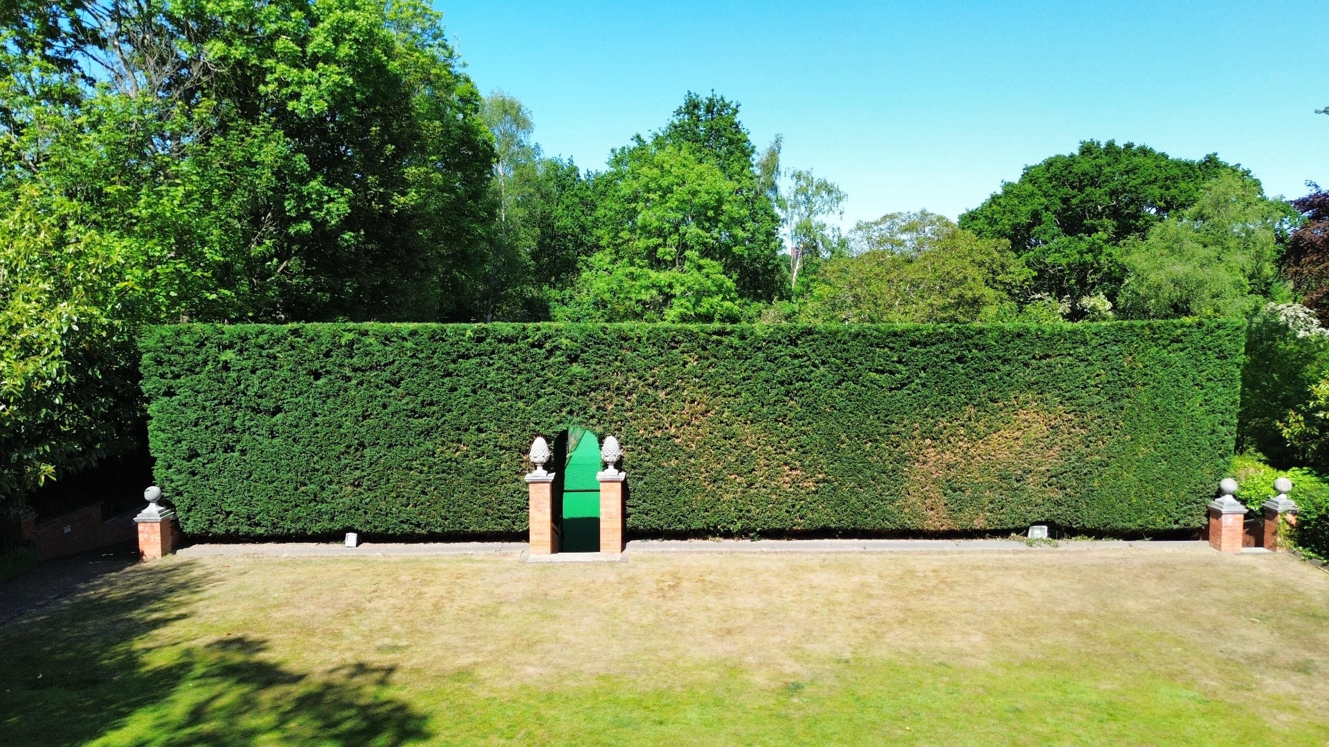 Hedge Trimming & Maintenance